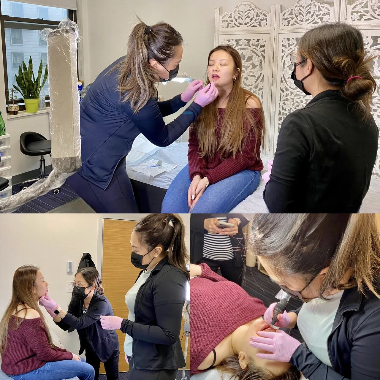 Beginners Lip Blush Training
